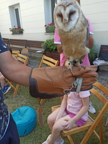 530795860_1944942839613765_5296662647641695601_n