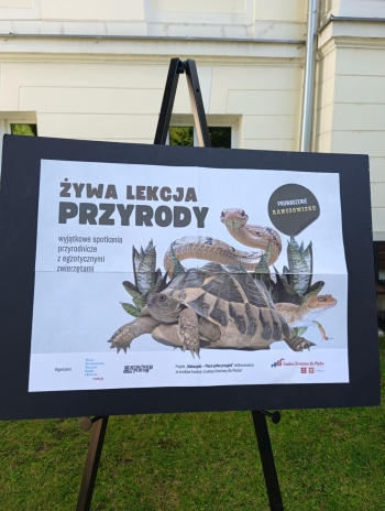 531000311_1944941469613902_2058490726640382528_n