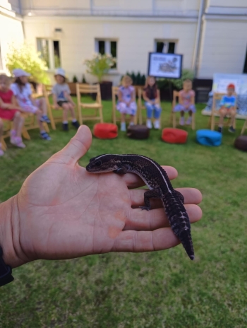 532815040_1944941526280563_6318783992097889921_n