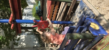 inbound5496825846206196115