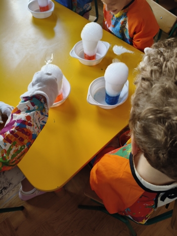 inbound3033344514087113640