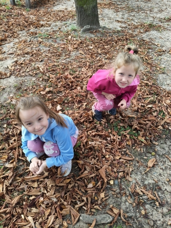 inbound8944303749619347975