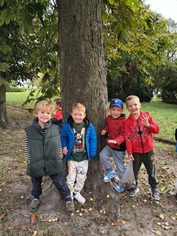 inbound8157105978011541958