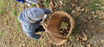 inbound4800232854222790172