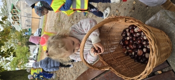 inbound462713544429781965