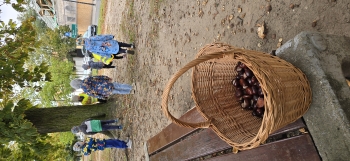 inbound645292985848633476