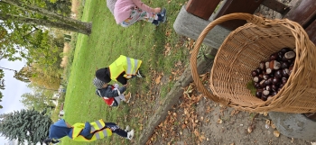 inbound1910419224475528088