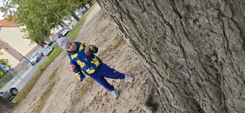 inbound4191172455945315331