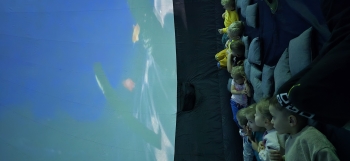 inbound3184312079297325760