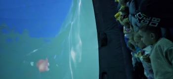 inbound1071263012893763992