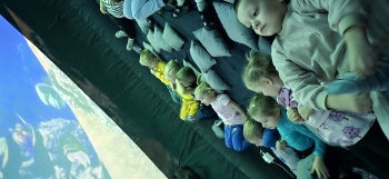 inbound2654629289826428014