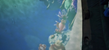 inbound7679812564386095591