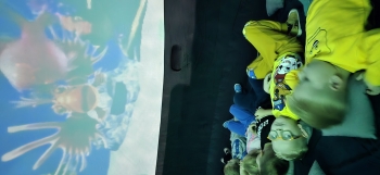 inbound2691140025761902580