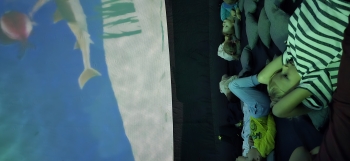 inbound6384900676597304364