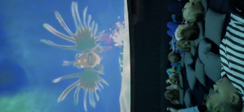 inbound453810064646483139