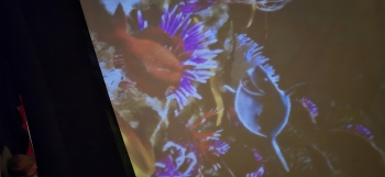 inbound6458036572386582347