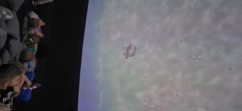 inbound7251361737059137006