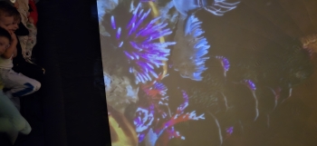 inbound6784761446741736303