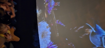 inbound8319656388676626350