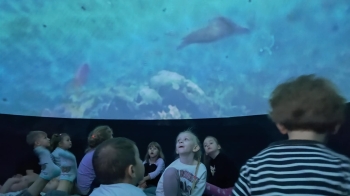 inbound6326673347465791763