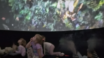 inbound5174313793091149472