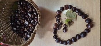 inbound1443901943347919559