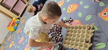 inbound6954592914666839961