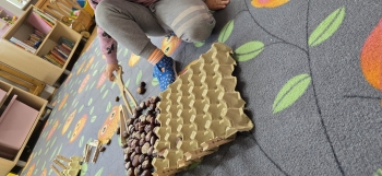 inbound6898352263024285498