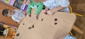 inbound4682177215337218630