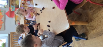 inbound2968702741771094312