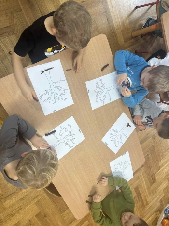 inbound5350258647604494511