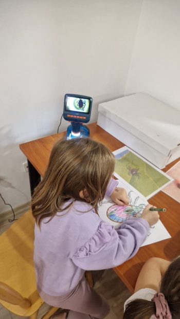 inbound6565509087279898406