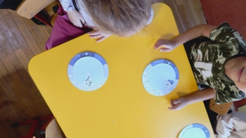 inbound3412731489028463811