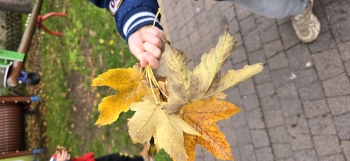 inbound4365641587478597648