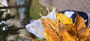 inbound3530137460711514380