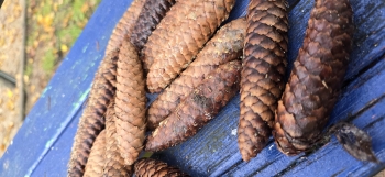 inbound1637368893800053874