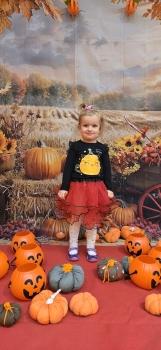 inbound8135164321903818633