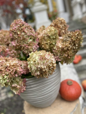 569377103_2005107003597348_2064511370418217928_n