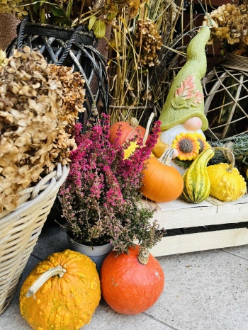 571131965_2005106803597368_9099582032584745962_n