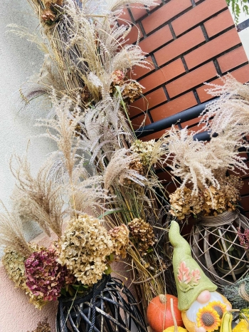 570026648_2005106953597353_9088449992759633857_n