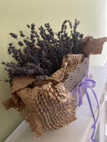 571559768_2005107143597334_4854504978705837277_n