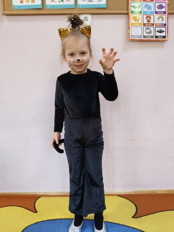 inbound3787370445142698019