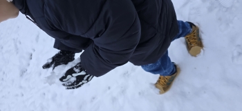 inbound4095906303410925055