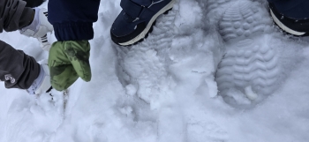 inbound8676030953739739195