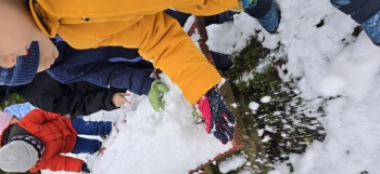 inbound8316381785455896610