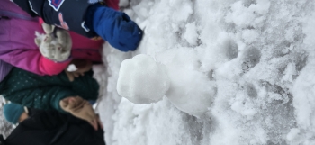 inbound8130936595617161547