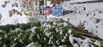 inbound442781937607035463