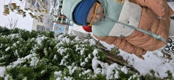 inbound1601235585964163634