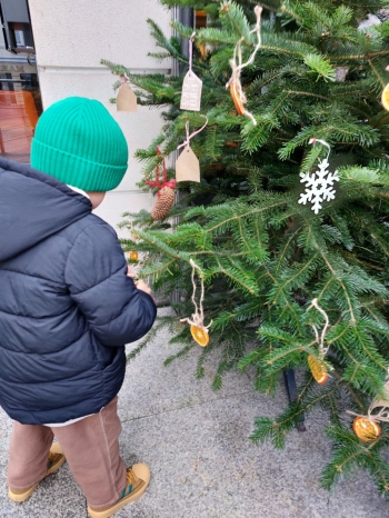 inbound3210262888224101785