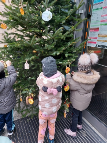 inbound7380952522177172457